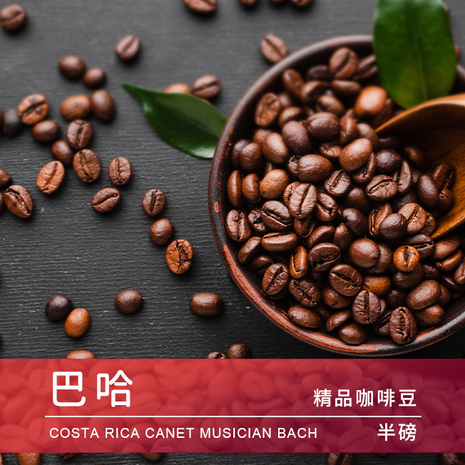 Tiamo 精品咖啡豆 巴哈 半磅