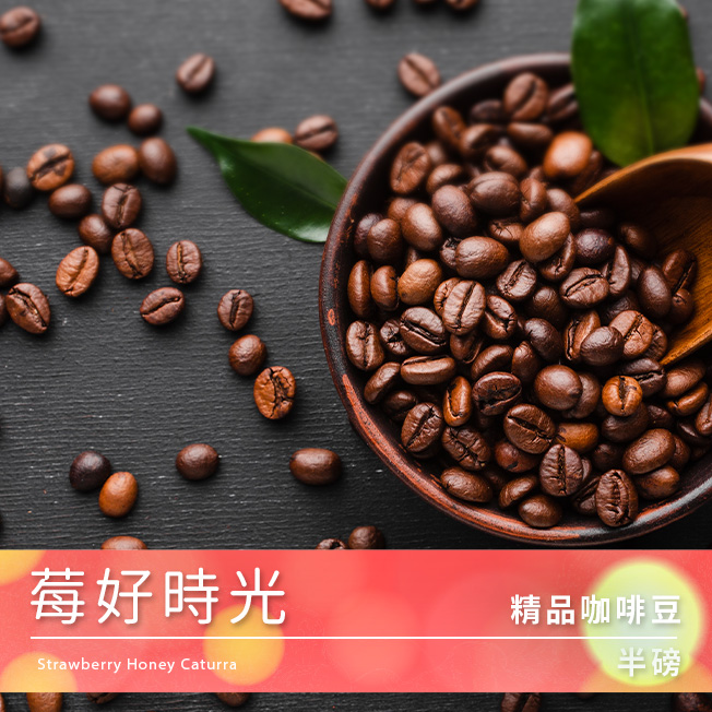 Tiamo 精品咖啡豆 莓好時光  |精品咖啡豆 買三送一
